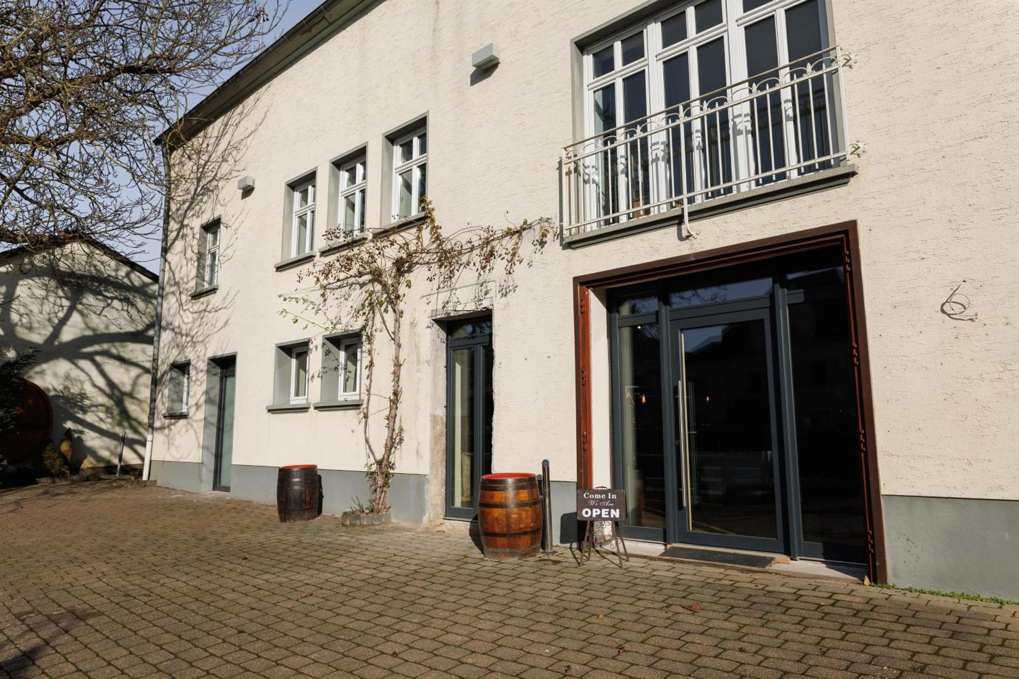 Appartements Im Weingut Frieden-Berg Nittel Exterior photo